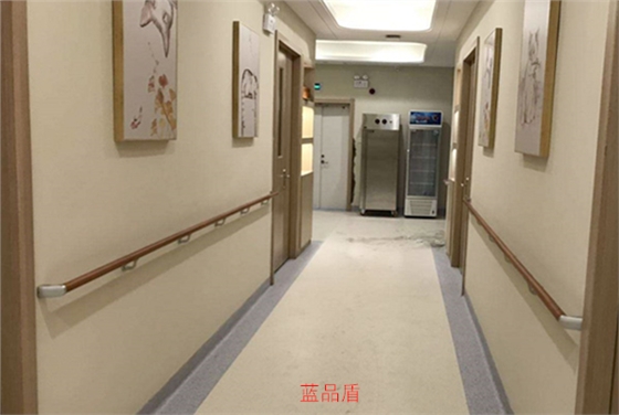 老人無(wú)障礙通道扶手