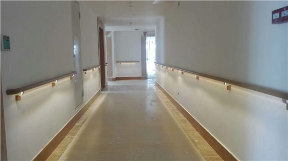 醫(yī)用走廊扶手廠家.jpg